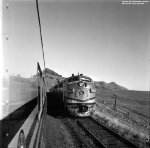 The Prospector
